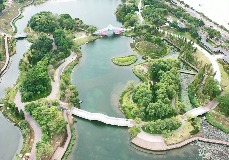 重建水下生態(tài)系統(tǒng)，提升水體自凈能力
